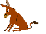 donkey.gif